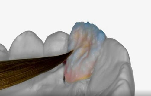 IMG_20131015_095252.jpg image